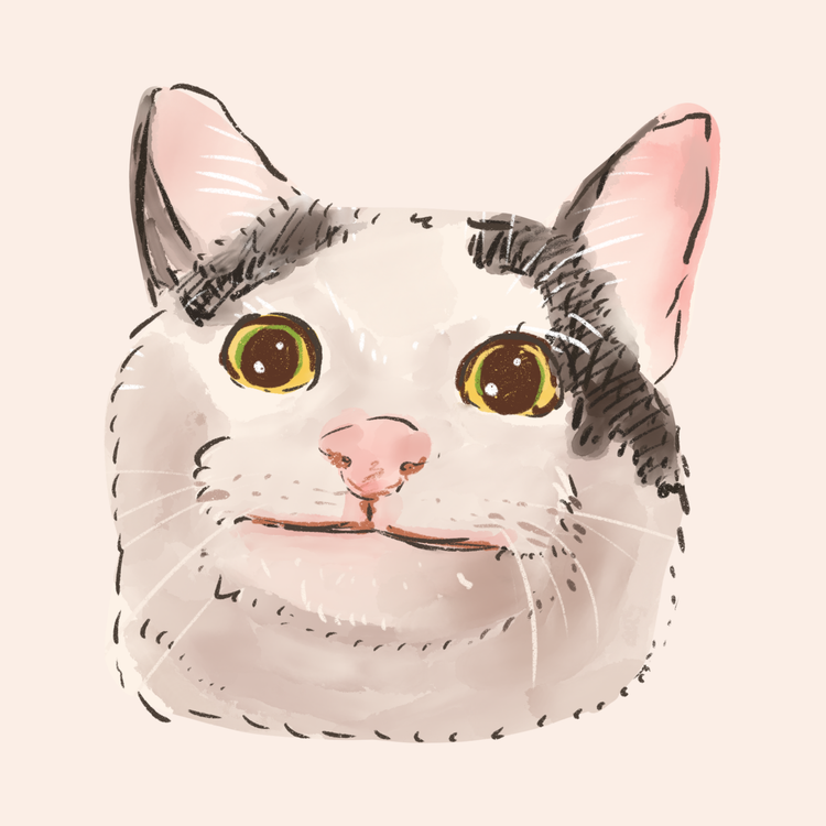 کوسن طرح گربه